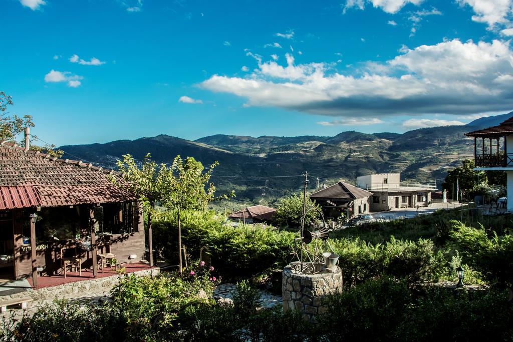 Theasis Suites-Ορεινή Φιλοξενία Kato Sinikia Trikalon Eksteriør billede